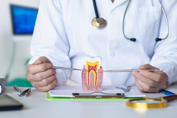 Best Emergency Dental Surgery in Dahlgren, VA